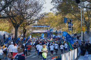 开云官方网站-全国大学生马拉松赛激情奔跑城市间，全国大学生马拉松联赛
